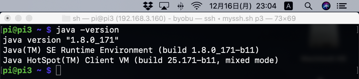 RaspberryPi 3 に Java環境を構築する - min117の日記