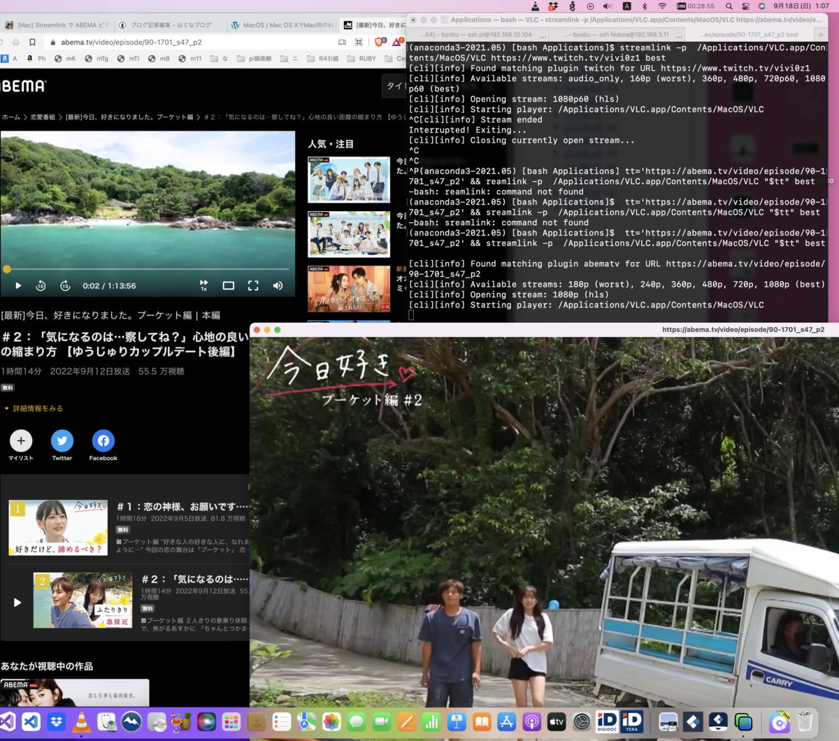 RaspberryPi3 に streamlink 突っ込んで twitch.tv の年齢制限を気にせず受信する（macOSでも ...