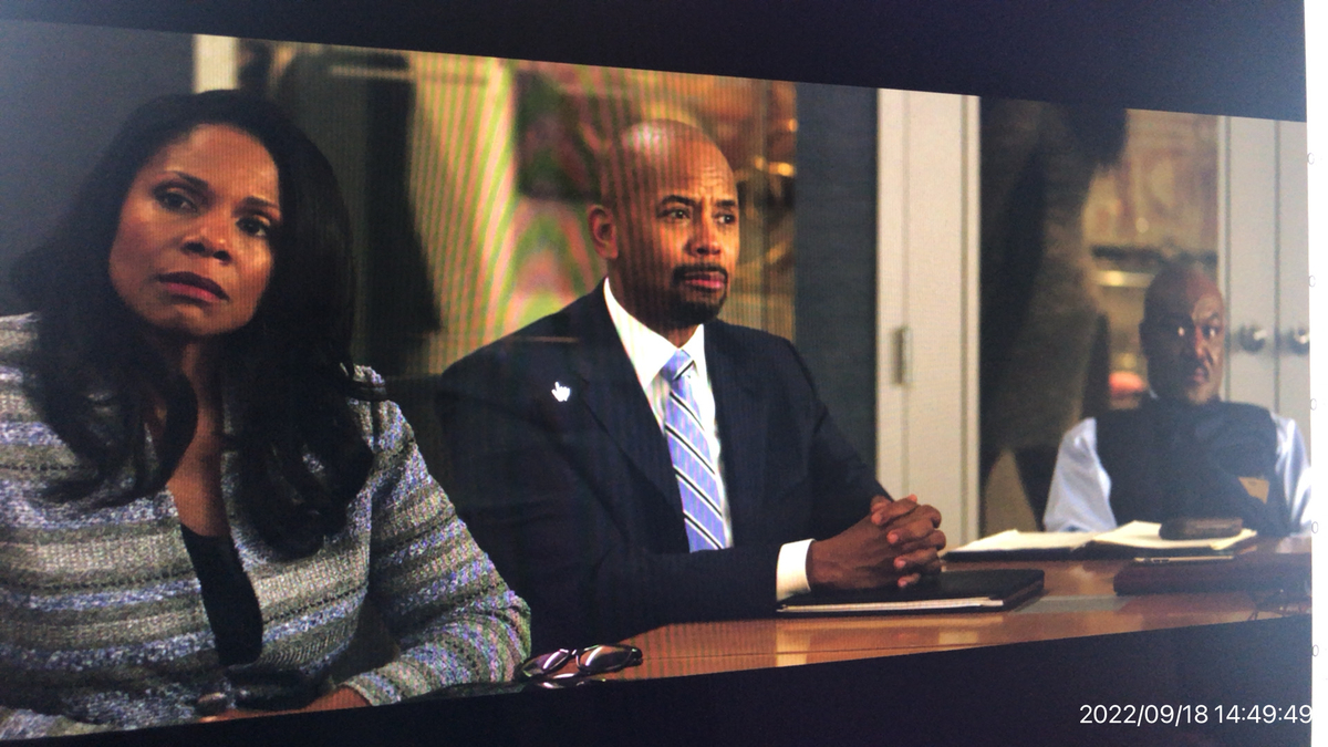 The Good Fight シーズン3 第4話 ルッカ炎上 黒人差別の話が深すぎる Min117の日記