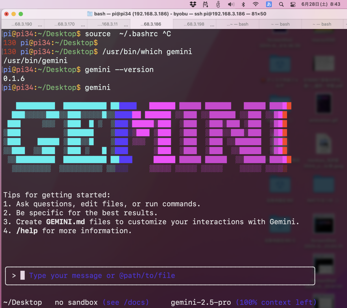 RaspberryPi3 で Gemini CLI を試す → 大成功 - min117の日記