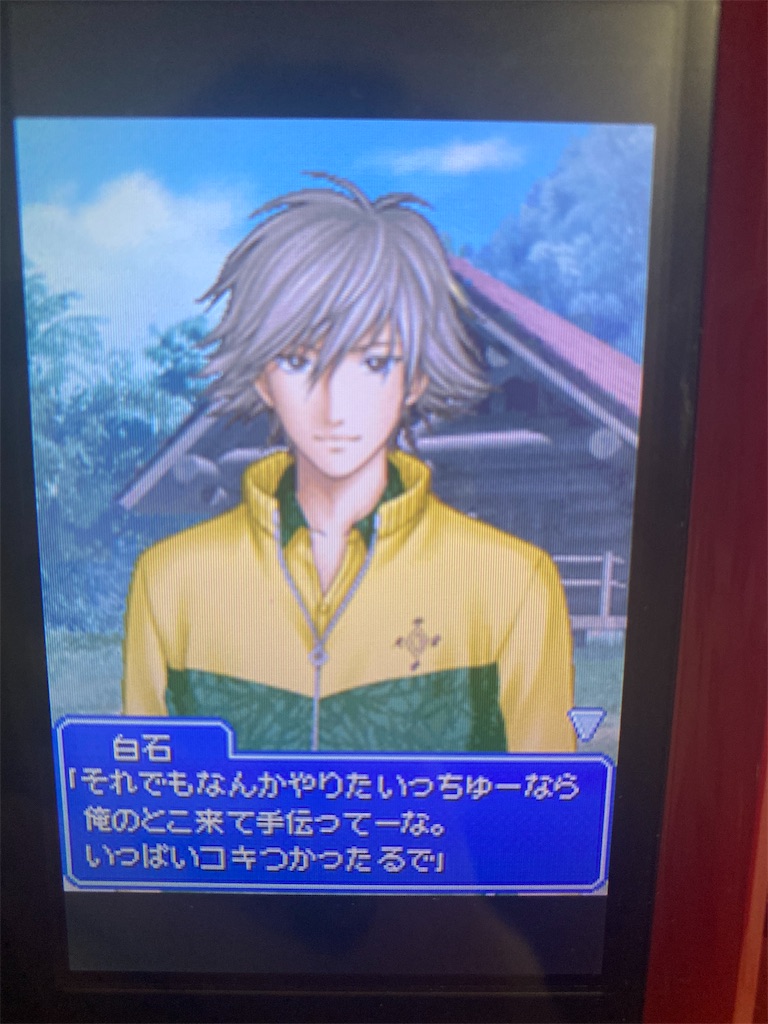 テニスの王子様 テニプリ ドキサバ DS テニスの王子様 テニプリ ドキドキサバイバル ドキサバ DS