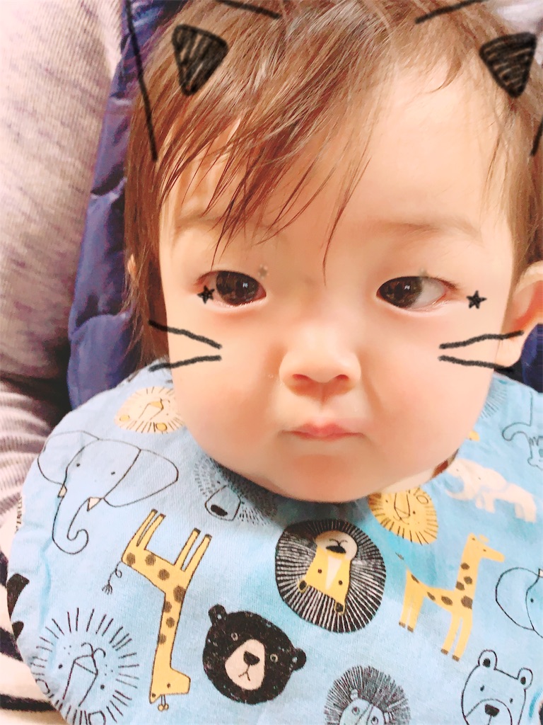 f:id:mina20160504:20190328151657j:image f:id:mina20160504:20190328151657j:image