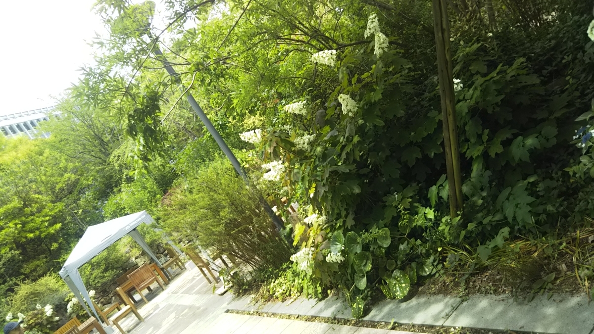 f:id:mina2019:20200624215730j:plain f:id:mina2019:20200624215730j:plain