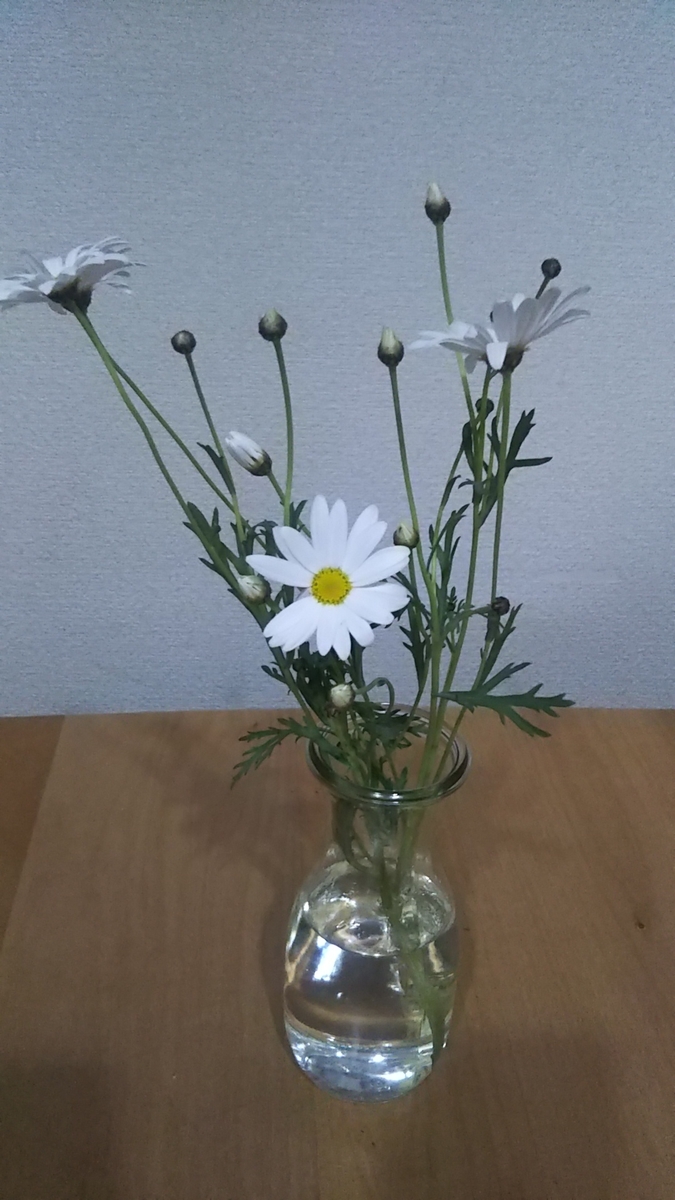 f:id:mina2019:20210305150127j:plain