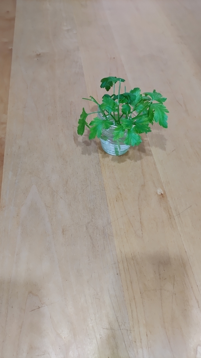 f:id:mina2019:20210517122251j:plain