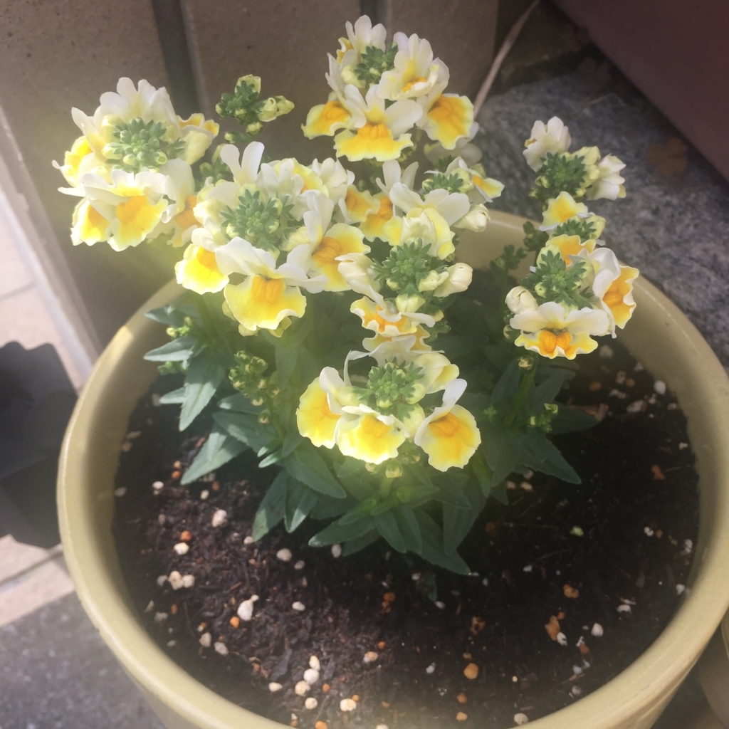 f:id:mina58:20180318150614j:plain f:id:mina58:20180318150614j:plain