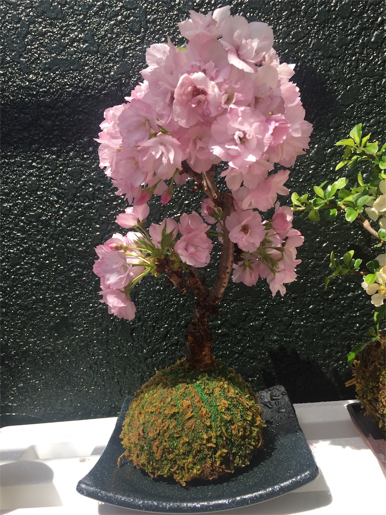 f:id:mina58:20180330173730j:image