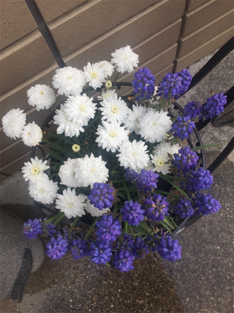f:id:mina58:20180401164059j:plain f:id:mina58:20180401164059j:plain