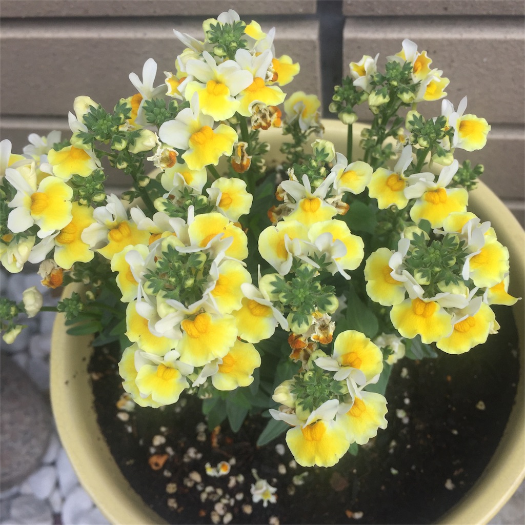 f:id:mina58:20180401164138j:plain f:id:mina58:20180401164138j:plain