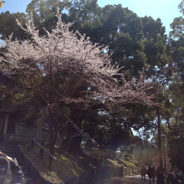 イメージ 12