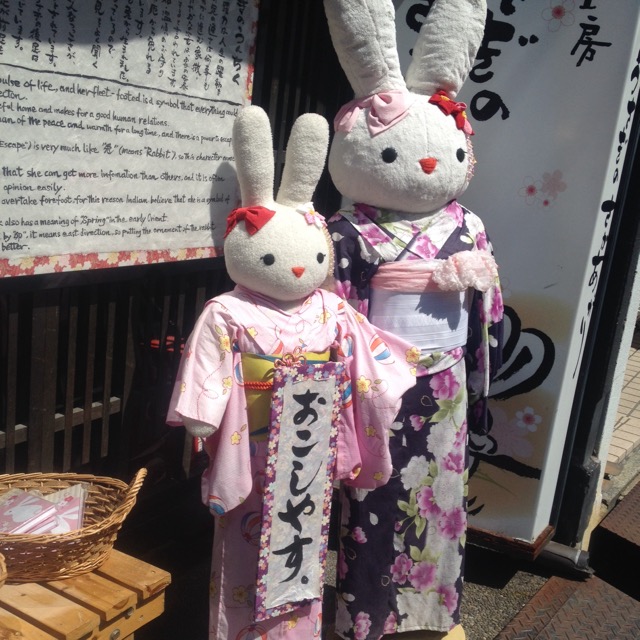 イメージ 9