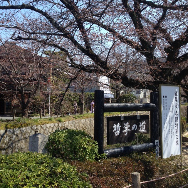 イメージ 10