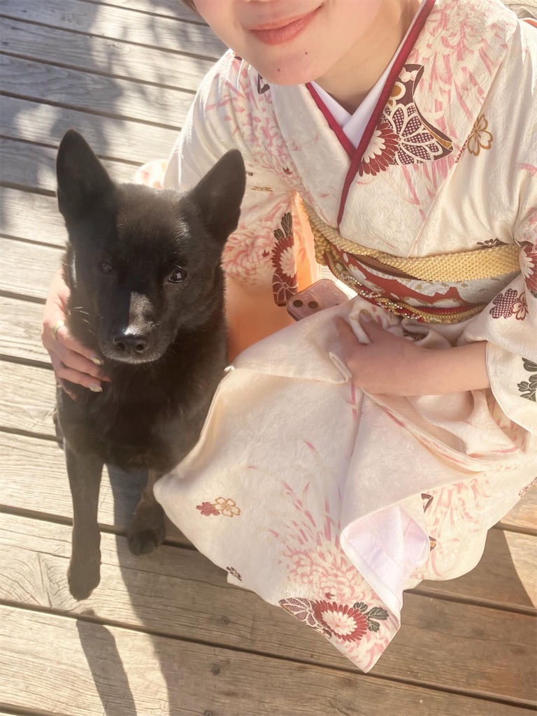 f:id:minacchisanikun:20260131124047j:image