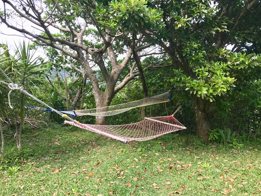f:id:minacolog:20190308200245j:plain