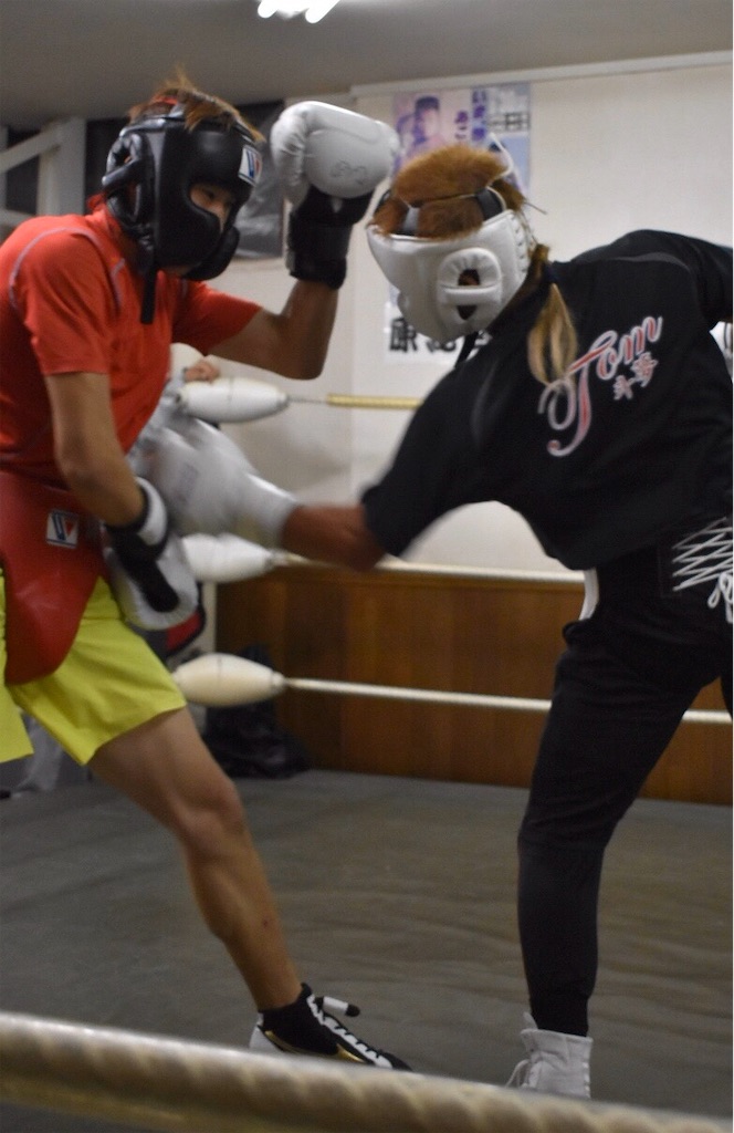 f:id:minagart:20191129230738j:image