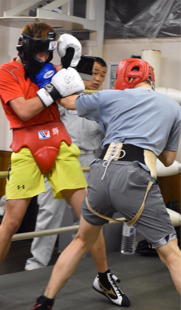 f:id:minagart:20191129230747j:image