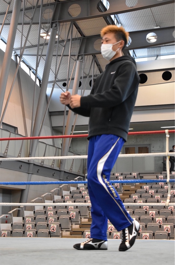 f:id:minagart:20201102220658j:image