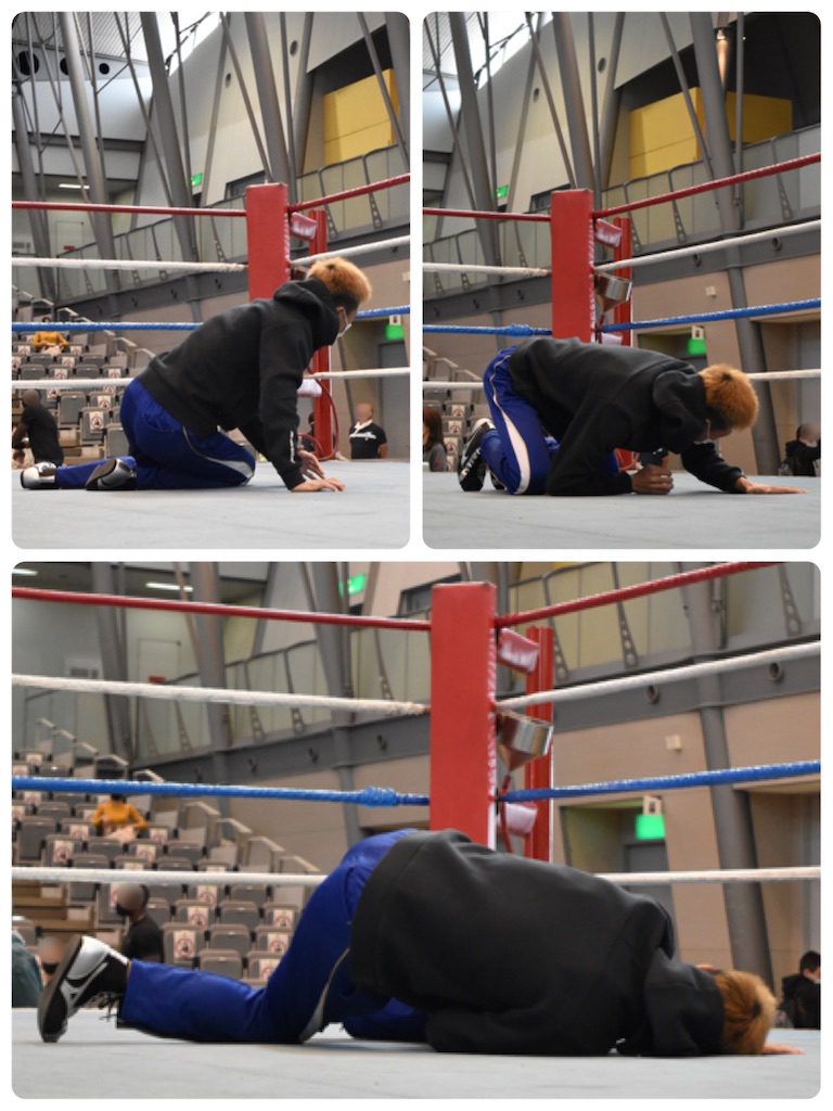 f:id:minagart:20201102230147j:image