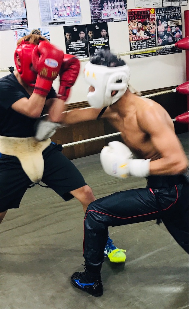 f:id:minagart:20201208000345j:image