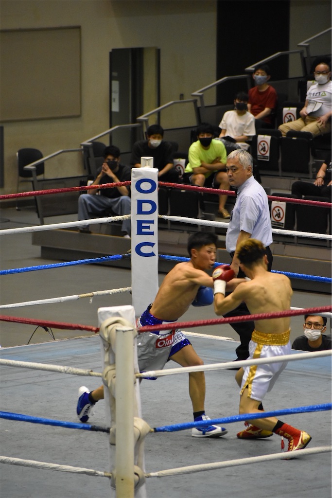 f:id:minagart:20210629183841j:image