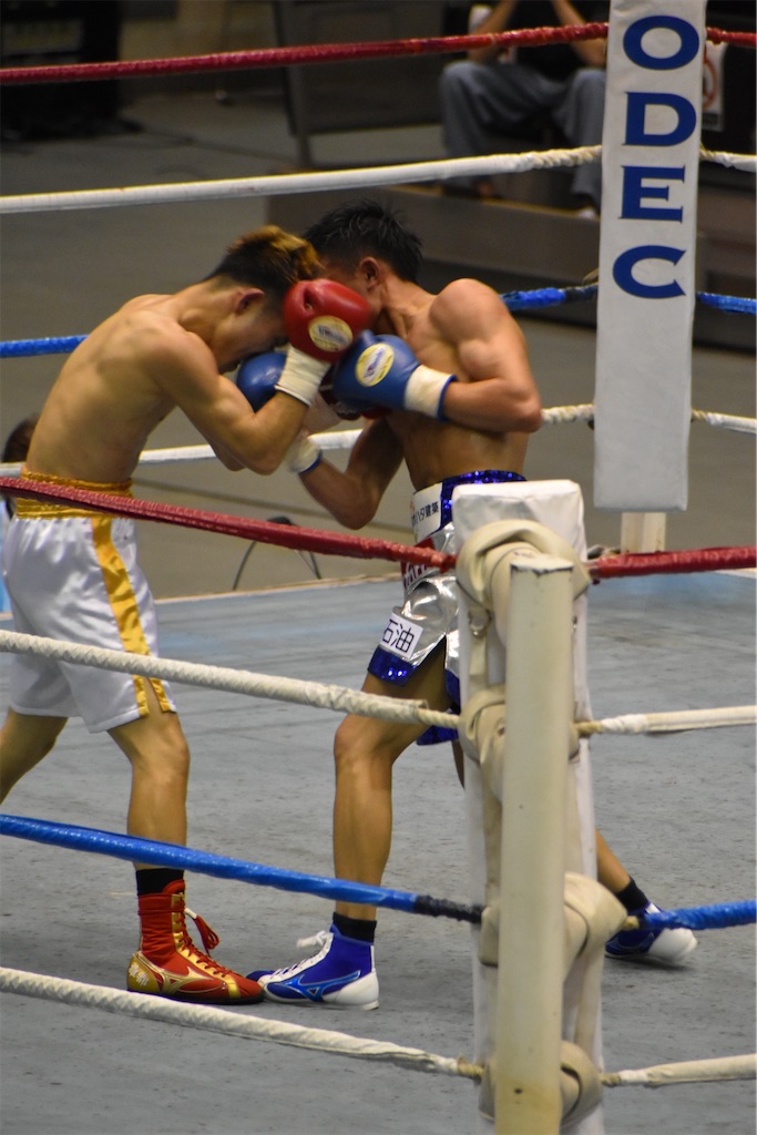 f:id:minagart:20210630103442j:image