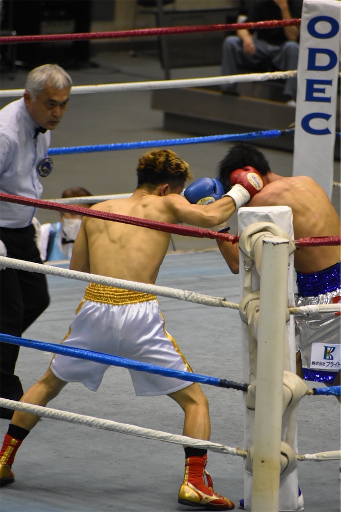 f:id:minagart:20210630103541j:image