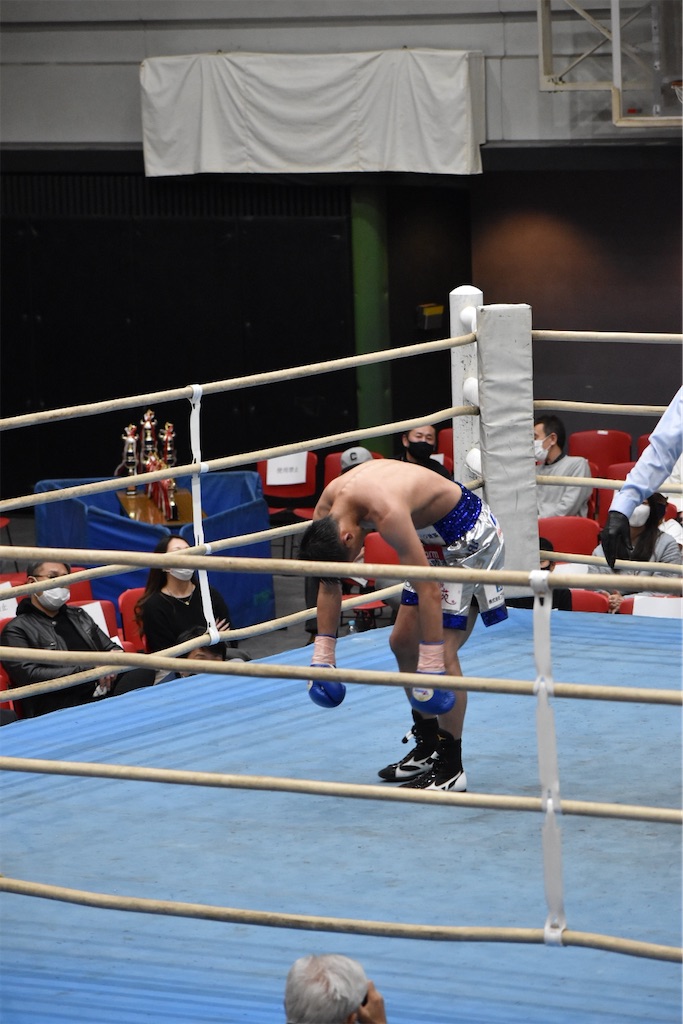 f:id:minagart:20211116171825j:image