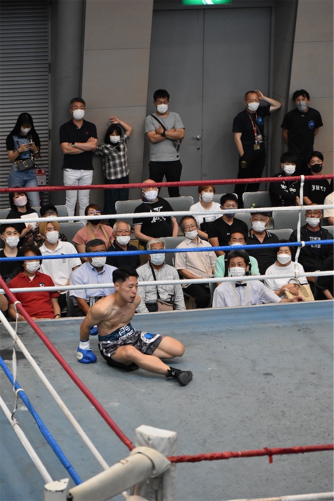 f:id:minagart:20220710180307j:image