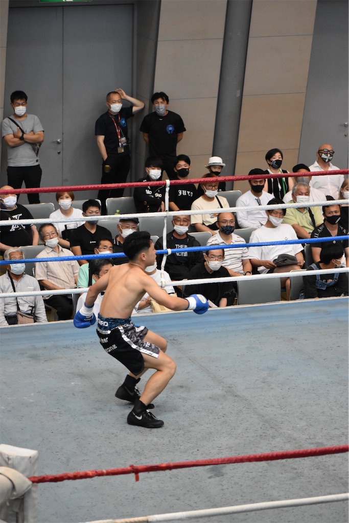 f:id:minagart:20220710180319j:image