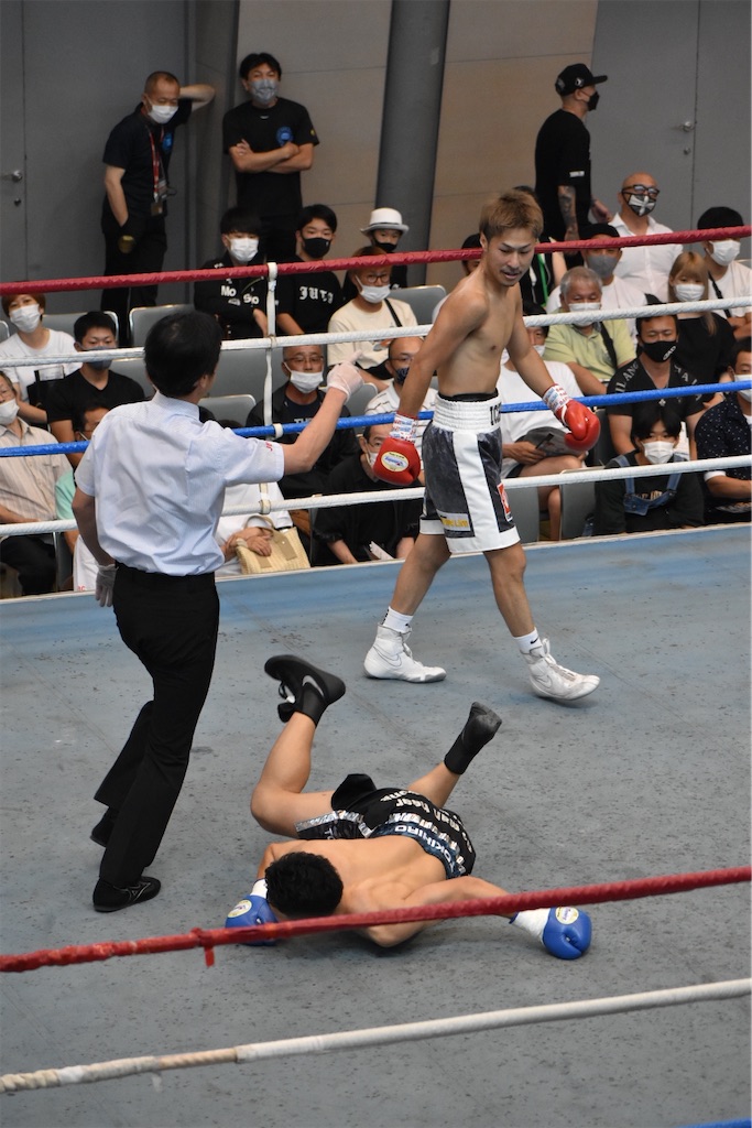 f:id:minagart:20220711092709j:image