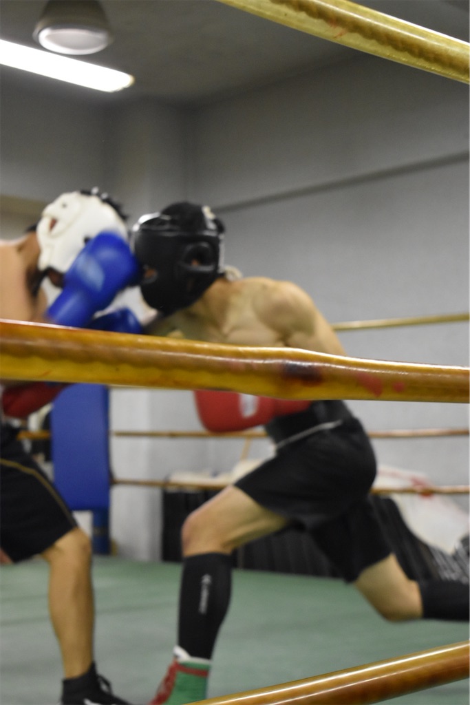 f:id:minagart:20221114103412j:image