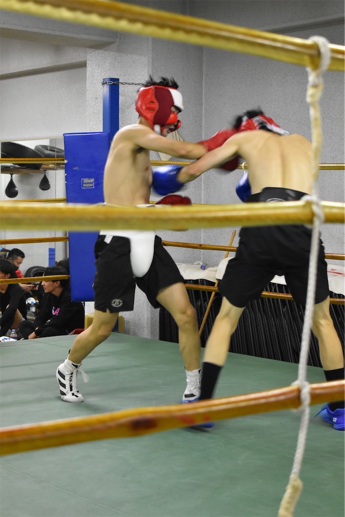 f:id:minagart:20221114103529j:image