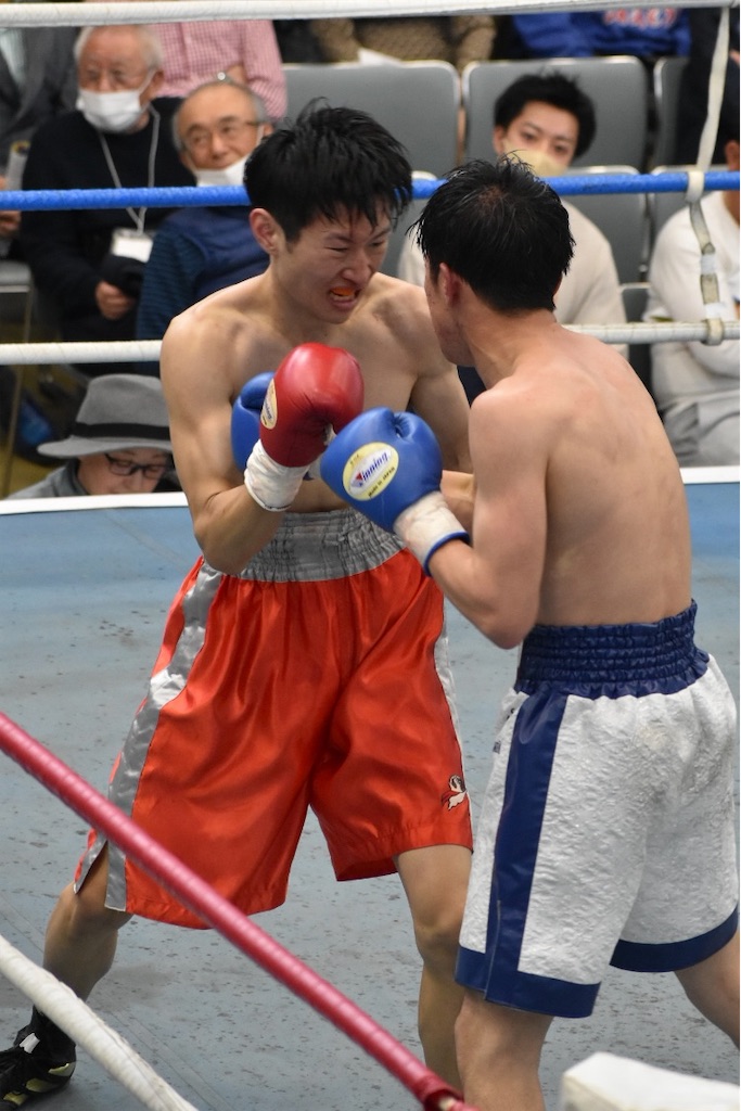 f:id:minagart:20230403075350j:image