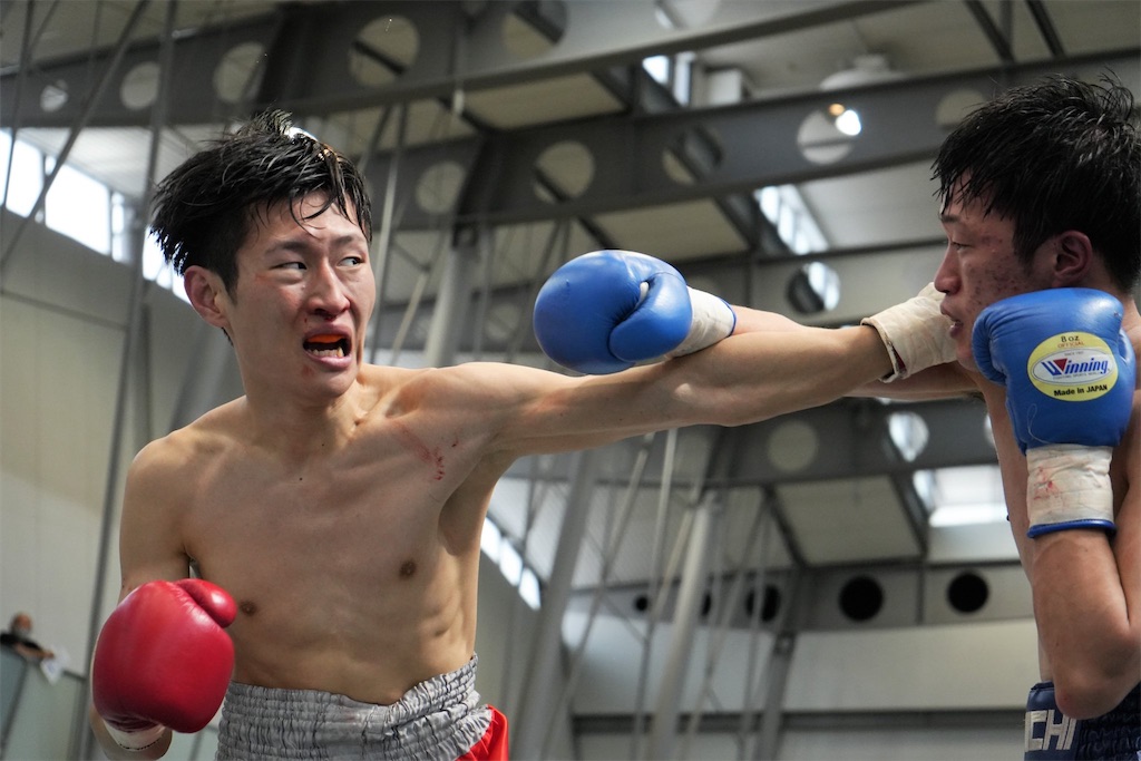 f:id:minagart:20230403085622j:image