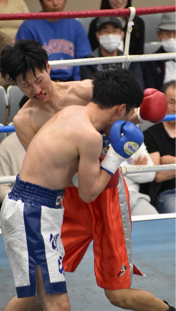 f:id:minagart:20230404001717j:image