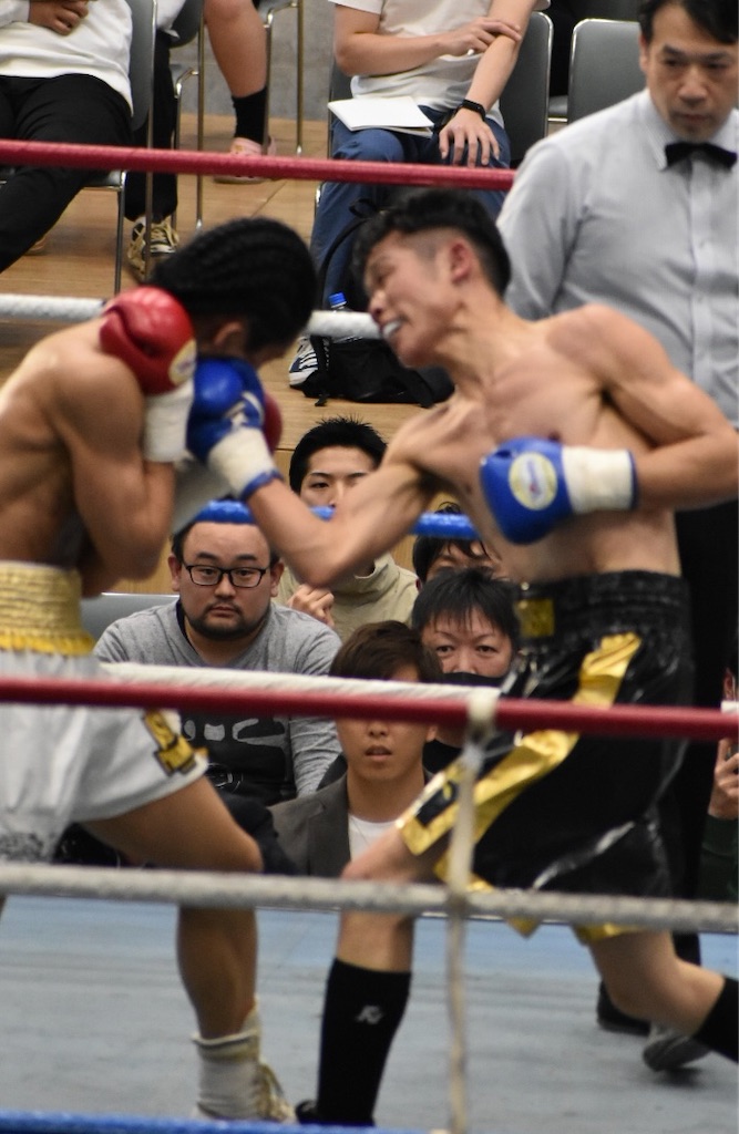 f:id:minagart:20230424163248j:image