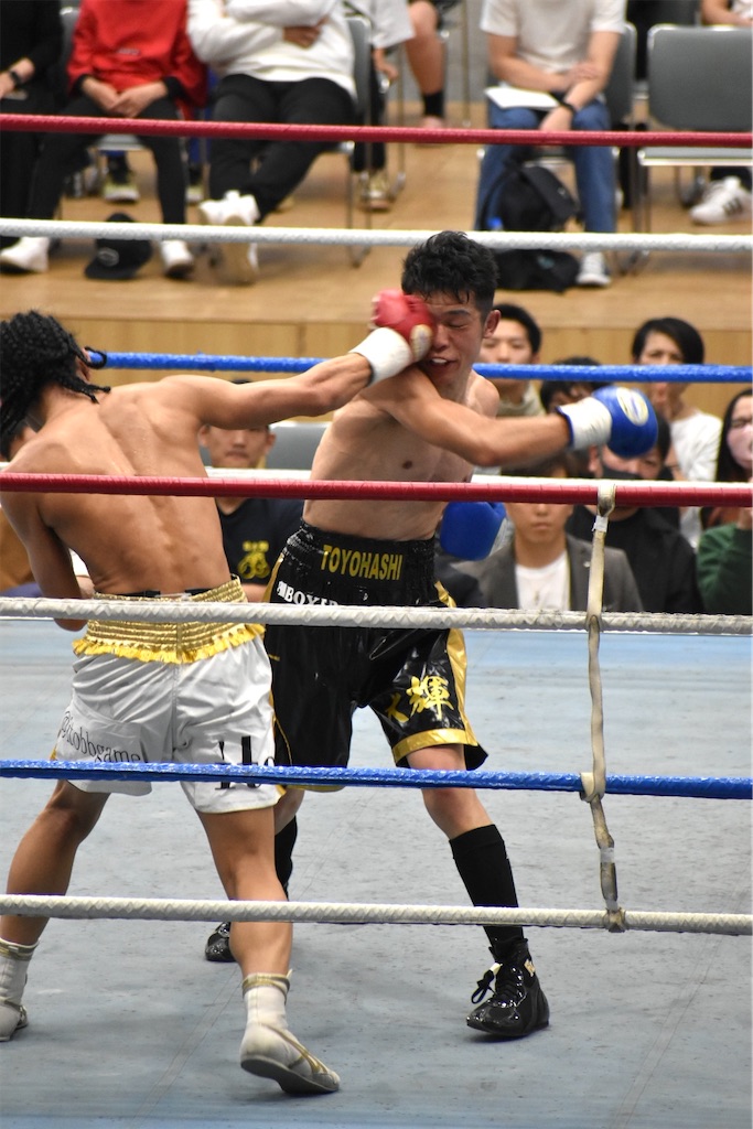 f:id:minagart:20230424163259j:image