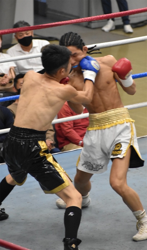 f:id:minagart:20230424173326j:image