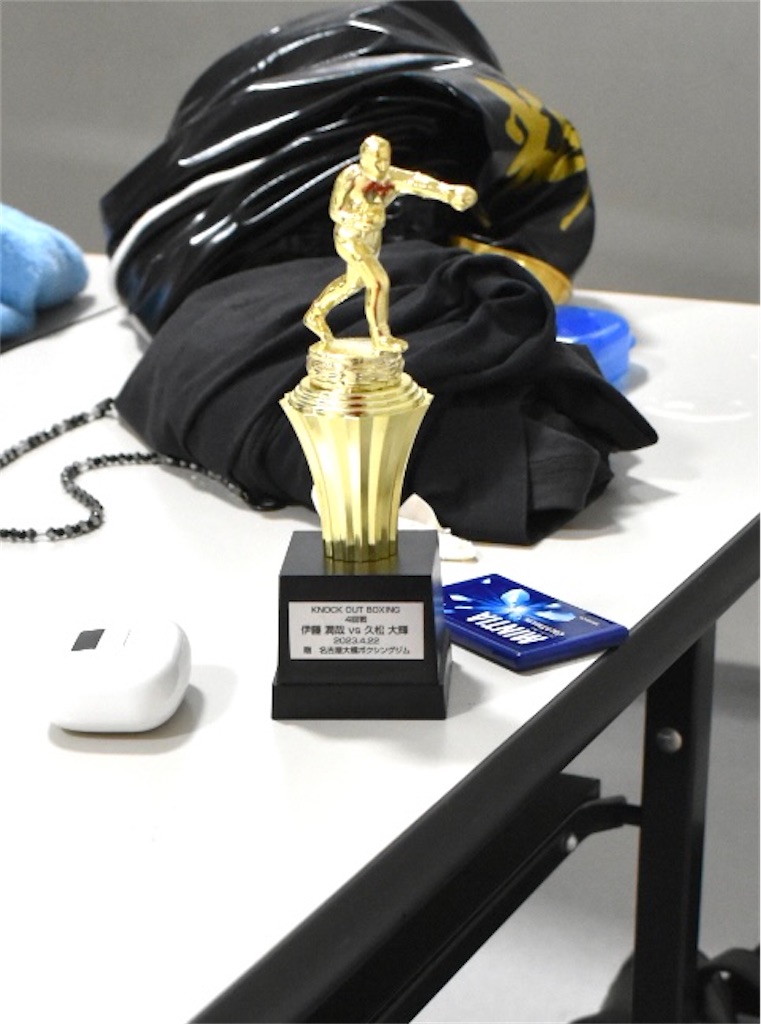 f:id:minagart:20230424175241j:image