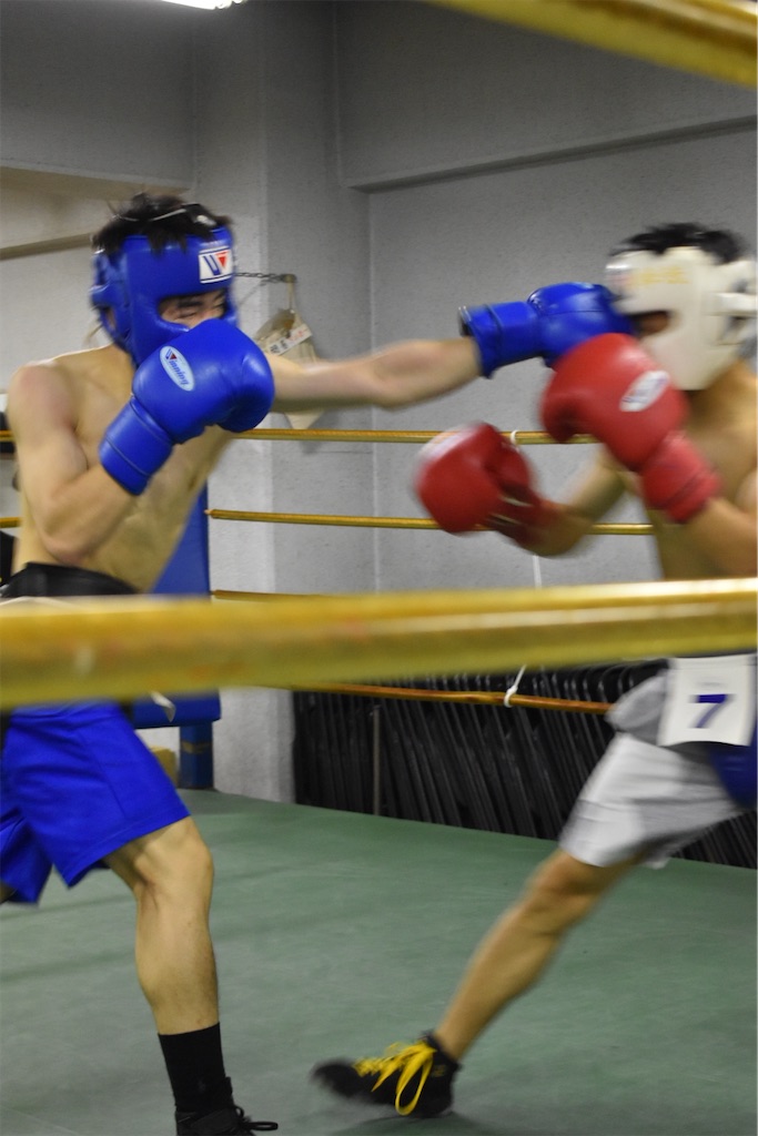 f:id:minagart:20230710160804j:image