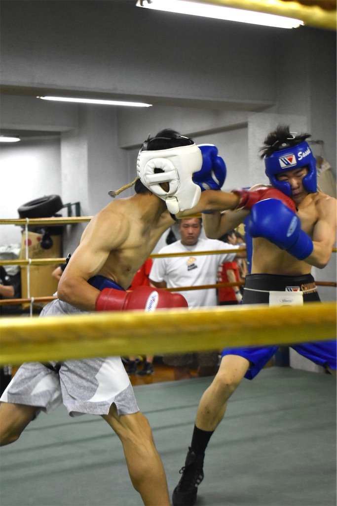 f:id:minagart:20230710160808j:image