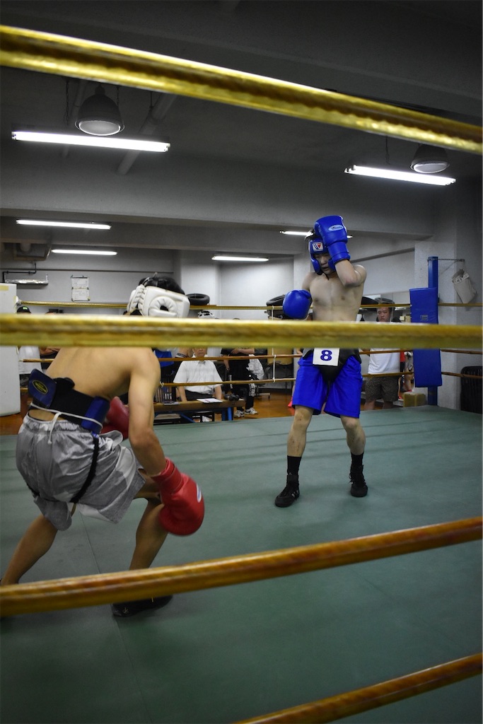 f:id:minagart:20230710160812j:image