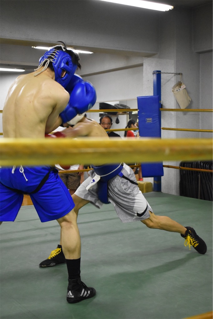 f:id:minagart:20230710160816j:image