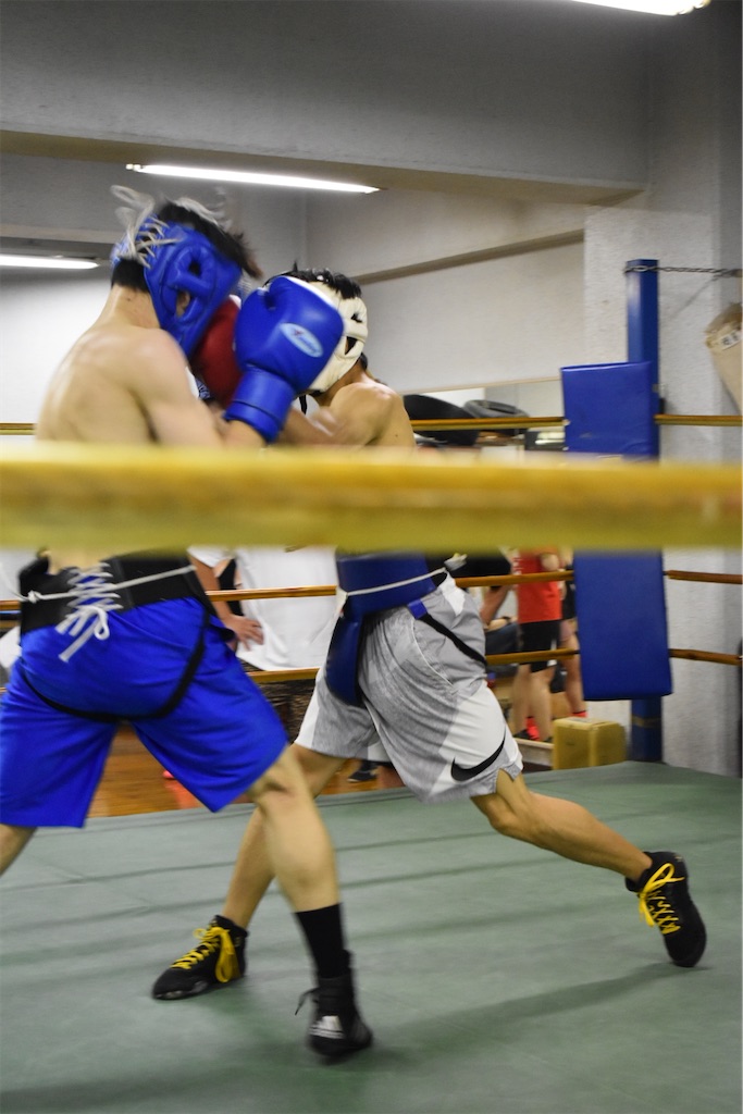 f:id:minagart:20230710160820j:image