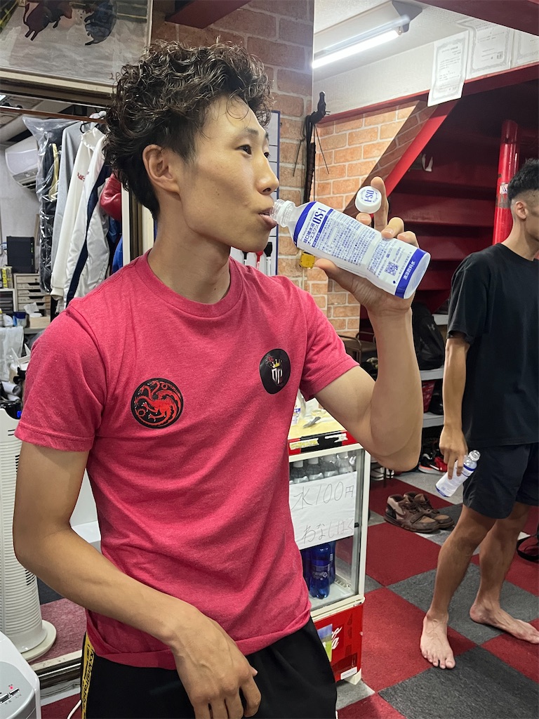 f:id:minagart:20230729194524j:image