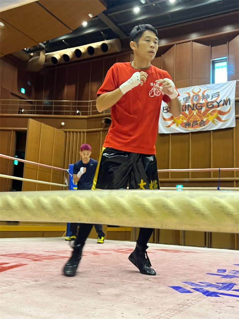 f:id:minagart:20230817195134j:image
