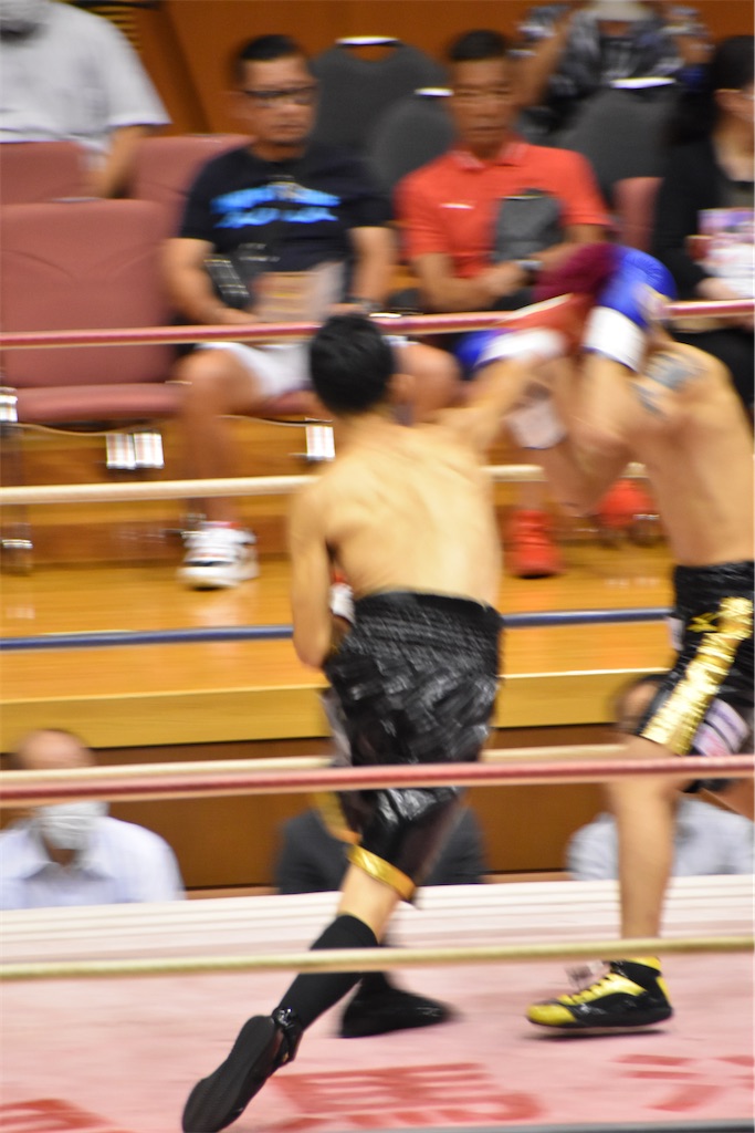 f:id:minagart:20230817195204j:image