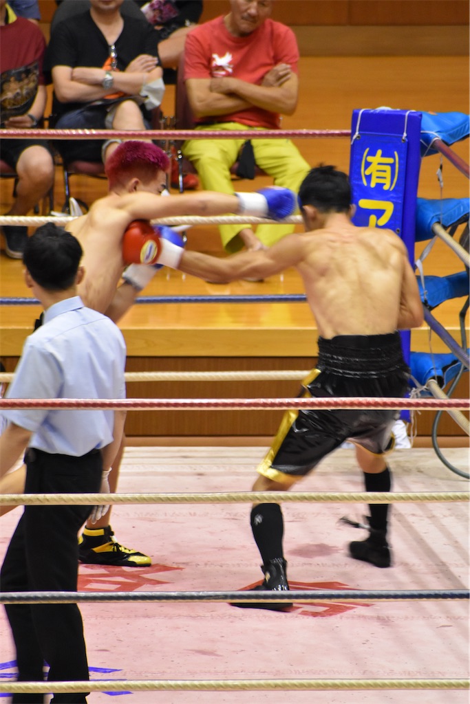 f:id:minagart:20230817201844j:image