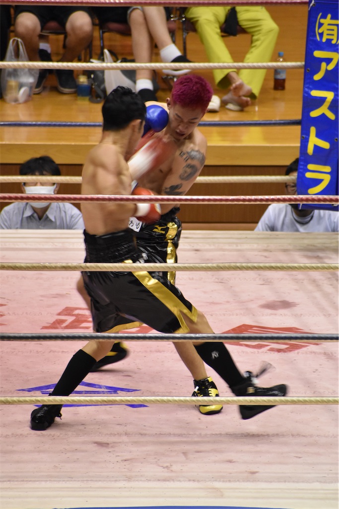 f:id:minagart:20230817201913j:image