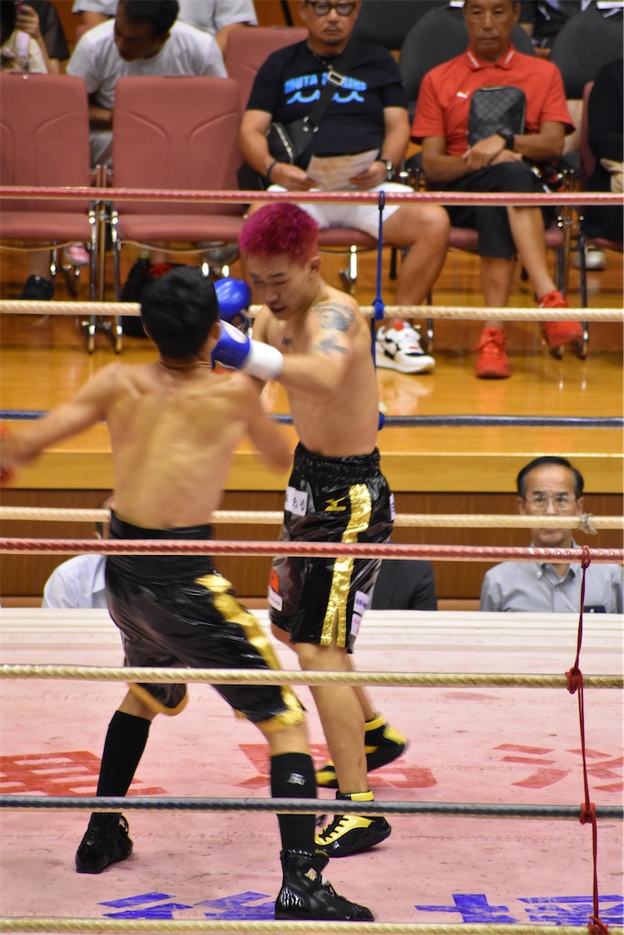 f:id:minagart:20230817201924j:image